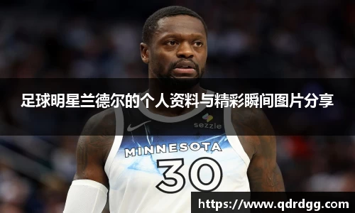 乐彩汇官方网站